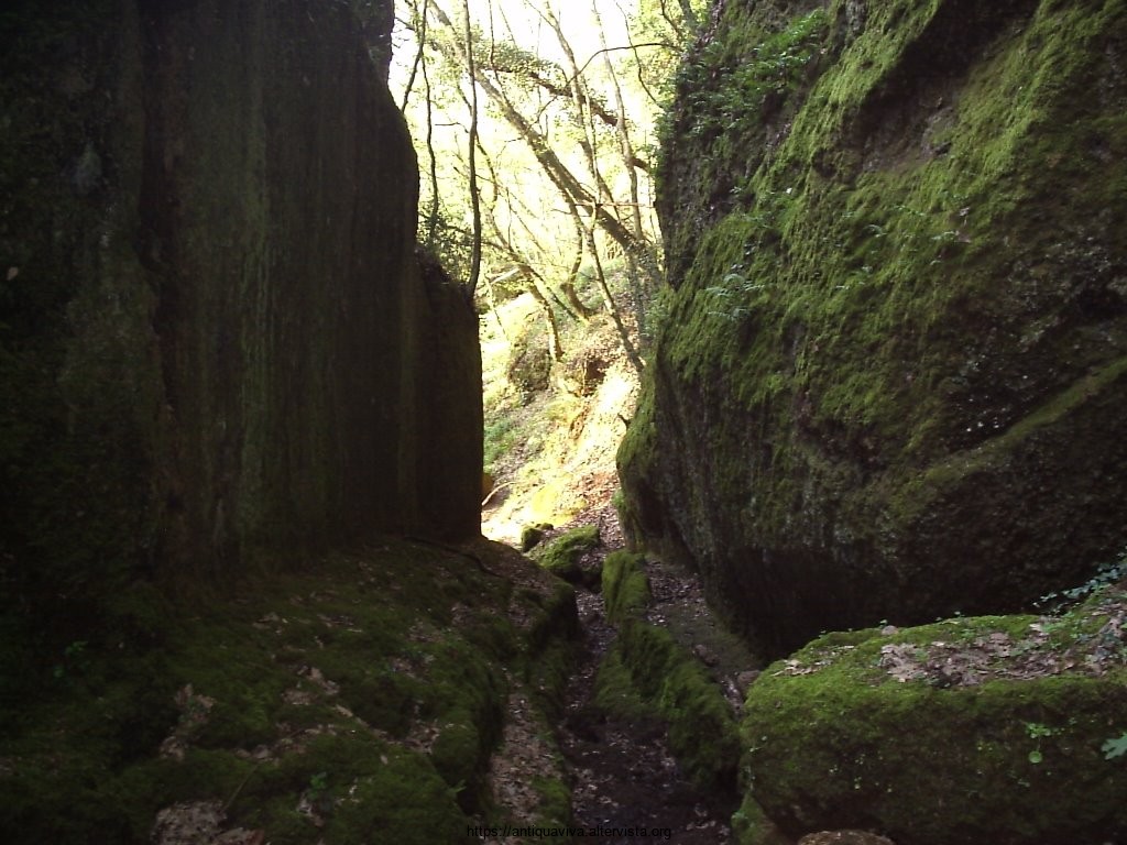 Le Vie Cave di Nepi Cavoni o Vie Cave