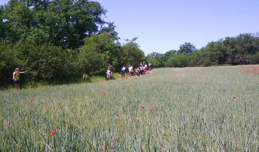 Trekking sulla Via Amerina Trekking sulla Via Amerina