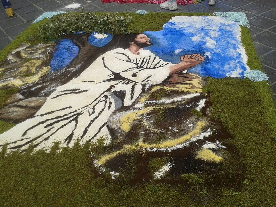 firoita-corso-matteotti Composizione per l'Infiorata di Nepi